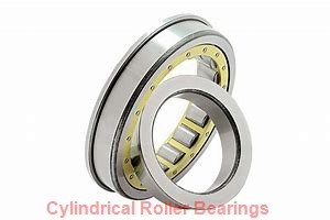 50 mm x 110 mm x 40 mm  SKF NU 2310 ECML  Cylindrical Roller Bearings