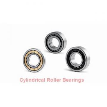 2.559 Inch | 65 Millimeter x 4.724 Inch | 120 Millimeter x 0.906 Inch | 23 Millimeter  SKF NU 213 ECP/CNM  Cylindrical Roller Bearings
