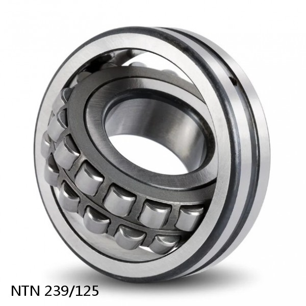 239/125 NTN Spherical Roller Bearings #1 small image
