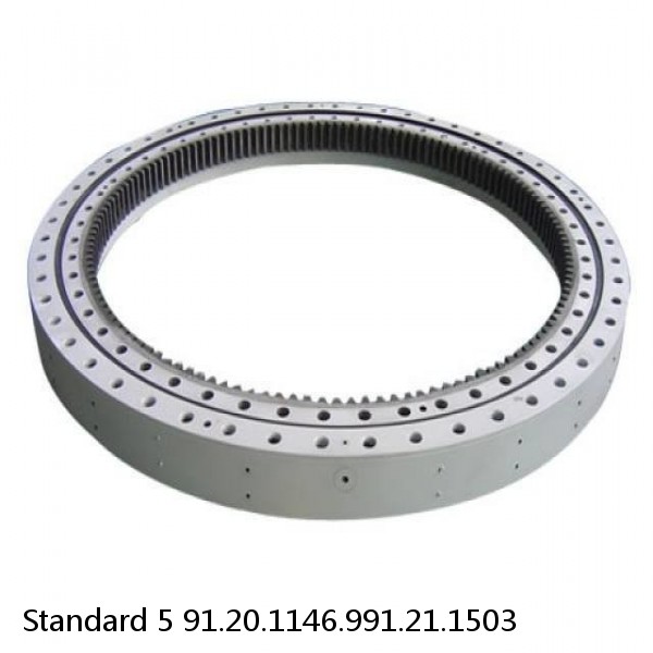 91.20.1146.991.21.1503 Standard 5 Slewing Ring Bearings #1 small image