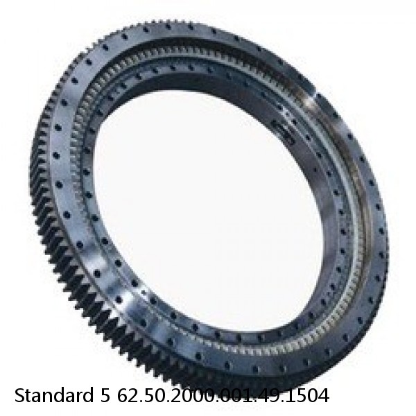 62.50.2000.001.49.1504 Standard 5 Slewing Ring Bearings #1 small image