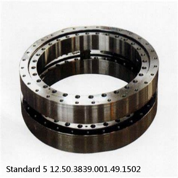 12.50.3839.001.49.1502 Standard 5 Slewing Ring Bearings #1 small image