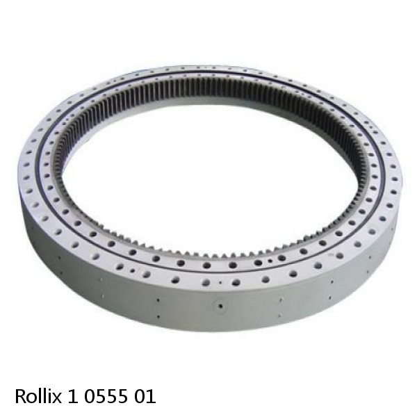 1 0555 01 Rollix Slewing Ring Bearings #1 small image