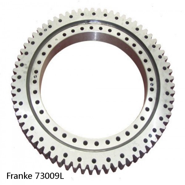 73009L Franke Slewing Ring Bearings #1 small image