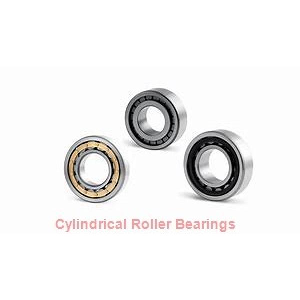 1.772 Inch | 45 Millimeter x 2.953 Inch | 75 Millimeter x 0.63 Inch | 16 Millimeter  SKF NU 1009 ECP/C3  Cylindrical Roller Bearings #2 image