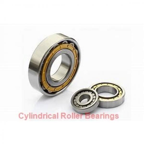 85 mm x 180 mm x 41 mm  SKF N 317 ECM  Cylindrical Roller Bearings #2 image