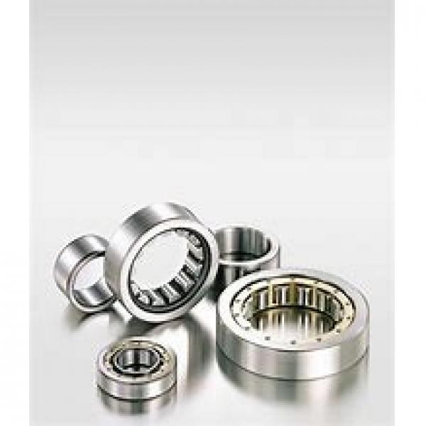 55 mm x 120 mm x 43 mm  SKF NJ 2311 ECML  Cylindrical Roller Bearings #2 image