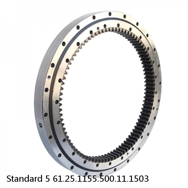 61.25.1155.500.11.1503 Standard 5 Slewing Ring Bearings #1 image
