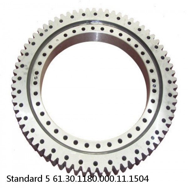 61.30.1180.000.11.1504 Standard 5 Slewing Ring Bearings #1 image