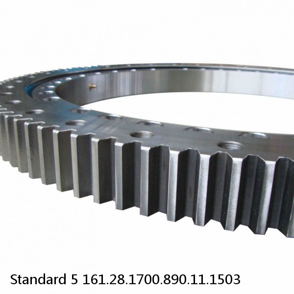 161.28.1700.890.11.1503 Standard 5 Slewing Ring Bearings #1 image