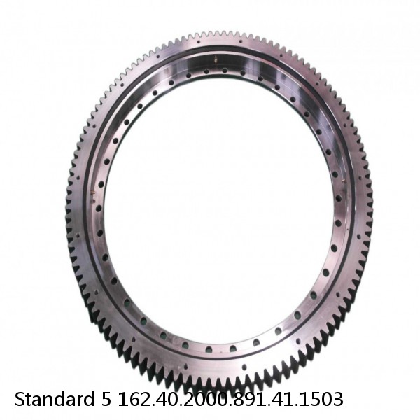 162.40.2000.891.41.1503 Standard 5 Slewing Ring Bearings #1 image