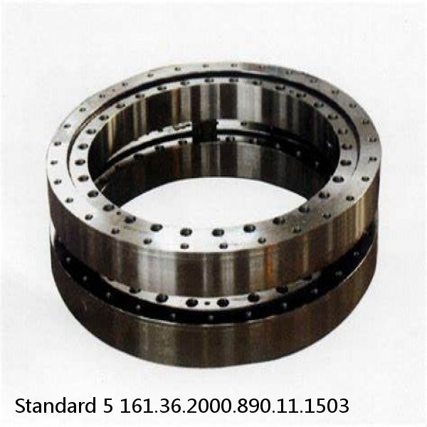 161.36.2000.890.11.1503 Standard 5 Slewing Ring Bearings #1 image