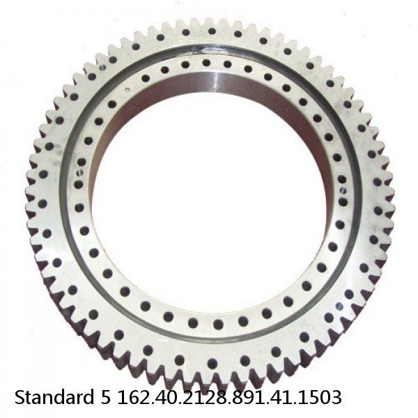 162.40.2128.891.41.1503 Standard 5 Slewing Ring Bearings #1 image