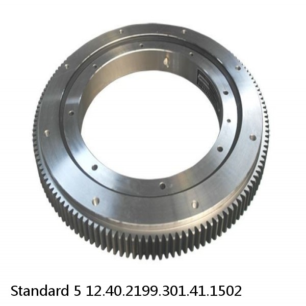 12.40.2199.301.41.1502 Standard 5 Slewing Ring Bearings #1 image