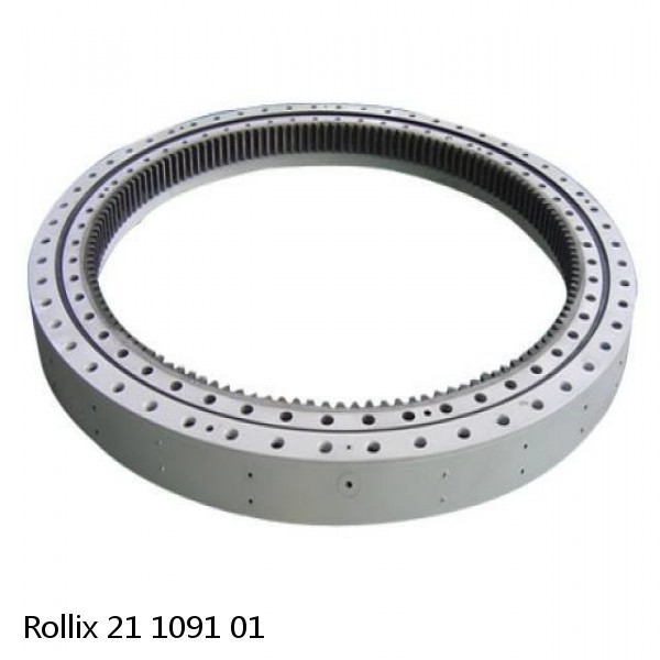 21 1091 01 Rollix Slewing Ring Bearings #1 image