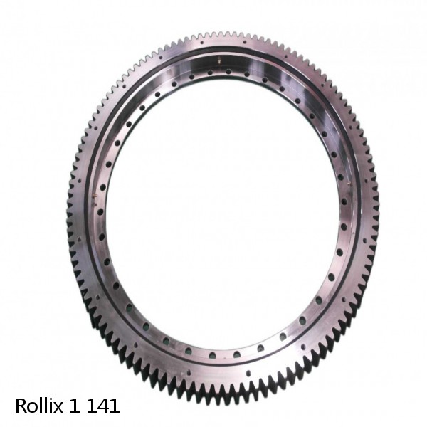 1 141 Rollix Slewing Ring Bearings #1 image